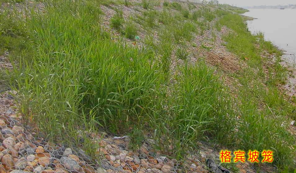 護坡格賓籠
