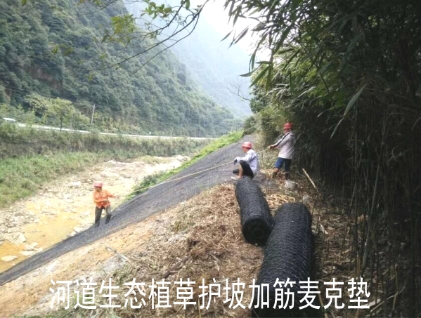 河道植草護坡加筋麥克墊