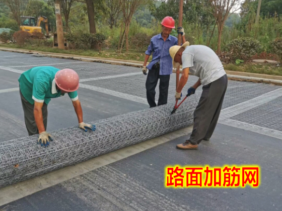 扎蘭屯路面加筋網(wǎng)
