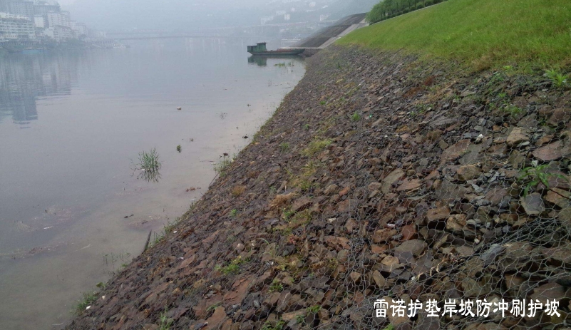 雷諾護(hù)墊