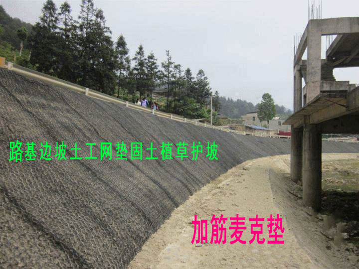 路基邊坡固土植草土工加筋麥克墊